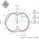 Antena Cisco LTE SMA DIPOLE ANTENNA 698-960
