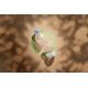 Tesa tesafilm® Eco & Crystal, 33m x 19mm, 8-pack