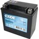 EXIDE EXIDE EK131 13Ah AGM akumuliatorius