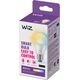 Signify WiZ White Lampe E27 Tunable  60W matt Einerpack