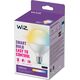 Signify WiZ White Globe E27 Tunable  75W matt Einerpack