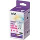 Signify WiZ White GU10 Tunable 60W Glas Einerpack