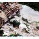 Vallejo Vallejo: 26.820 - Diorama FX - Ground Textures - Snow (200 ml)