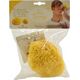 Babu Bab?(r) sponge natural nr.12