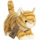 ECO NATION AURORA Eco Nation Plush Orange Tabby, 15 cm