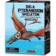 4M 4M craft kit "Dig a Pteranodon skeleton"