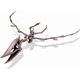 4M 4M craft kit "Dig a Pteranodon skeleton"