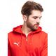 Puma Bluza męska Puma Team Goal Casuals Hooded czerwona 658595 01 XL