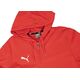 Puma Bluza męska Puma Team Goal Casuals Hooded czerwona 658595 01 XL