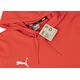 Puma Bluza męska Puma Team Goal Casuals Hoody czerwona 658618 01 XL