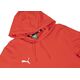 Puma Bluza męska Puma Team Goal Casuals Hoody czerwona 658618 01 M
