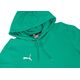 Puma Bluza męska Puma Team Goal Casuals Hoody zielona 658618 05 XL