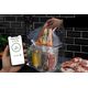 G21 Circulator G21 Maestro, WiFi, 1200 W, 600920