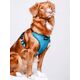 Chaba CHABA Szelki Guard Comfort Classic M morskie