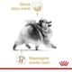 Royal Canin Pomeranian 85g