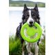 Triton Kiwi Walker Let's Play Frisbee Maxi pomarańczowe