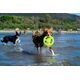 Triton Kiwi Walker Let's Play Frisbee Maxi pomarańczowe
