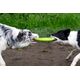 Triton Kiwi Walker Let's Play Frisbee Maxi pomarańczowe
