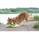 Triton Kiwi Walker Let's Play Frisbee Maxi pomarańczowe