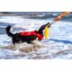 Triton Kiwi Walker Let's Play Zeppelin Maxi aport niebieski