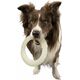 Triton Kiwi Walker Let's Play Glow Ring Maxi