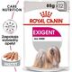 Royal Canin Exigent 85g