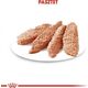 Royal Canin Exigent 85g