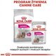 Royal Canin Exigent 85g
