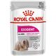 Royal Canin Exigent 85g