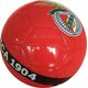 Victoria Sport PIŁKA NOŻNA BENFICA R.5