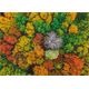 Dodo *****Puzzle 1000el Wioska Dzembronia DOB1163 01163