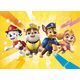 Dodo *****Puzzle 60el Paw Patrol z figurk.DOB5567 05567
