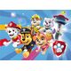 Dodo *****Puzzle 60el Paw Patrol DOB5635 05635