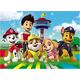 Dodo *****Puzzle 60el Paw Patrol DOB5727 05727
