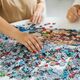 Trefl PUZZLE 1000 PremPlus Grogu 10885
