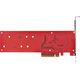 Kieszeń StarTech StarTech DUAL-M2-PCIE-CARD-B adapter Wewnętrzny M.2