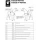 Hurtta Hurtta Casual Sele, lingon 100 cm
