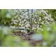 Gardena Gardena Endline Drip Head, End-line mounting, 2 l/h, Plastic, 1 pc(s)