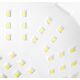 Lampa studyjna Activeshop Lampa UV LED Glow F2 BP 220W