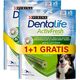 Purina Purina Dentalife Activefresh Medium 115g+115g GRATIS