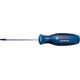 Bosch Screwdriver TX 25x100 mm Bosch 1600A01V0C