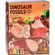 Jokomisiada Masa plastyczna formy dinozaury ciastolina ZA4778