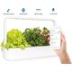 Click And Grow Click & Grow Smart Garden 9 Pro, white