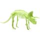 Teka ¦wiec±cy w ciemno¶ci szkielet Triceratops