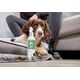 . DEW, Spray do pielęgnacji jamy ustnej dla zwierząt, 250 ml
