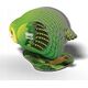 Teka Papuga Kakapo Eugy. Eko Układanka 3D