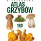 Peggy Diggledey Kieszonkowy atlas grzybów