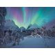 Trefl Puzzle 1500 Arktyczna magia