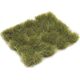 Vallejo Vallejo: Scenery - Wild Tuft - Dry Green (12 mm) x17