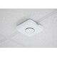 Access Point NETGEAR NETGEAR - Accesspoint - 2.4 GHz, 5 GHz, 6 GHz - Wand- / Deckenmontage